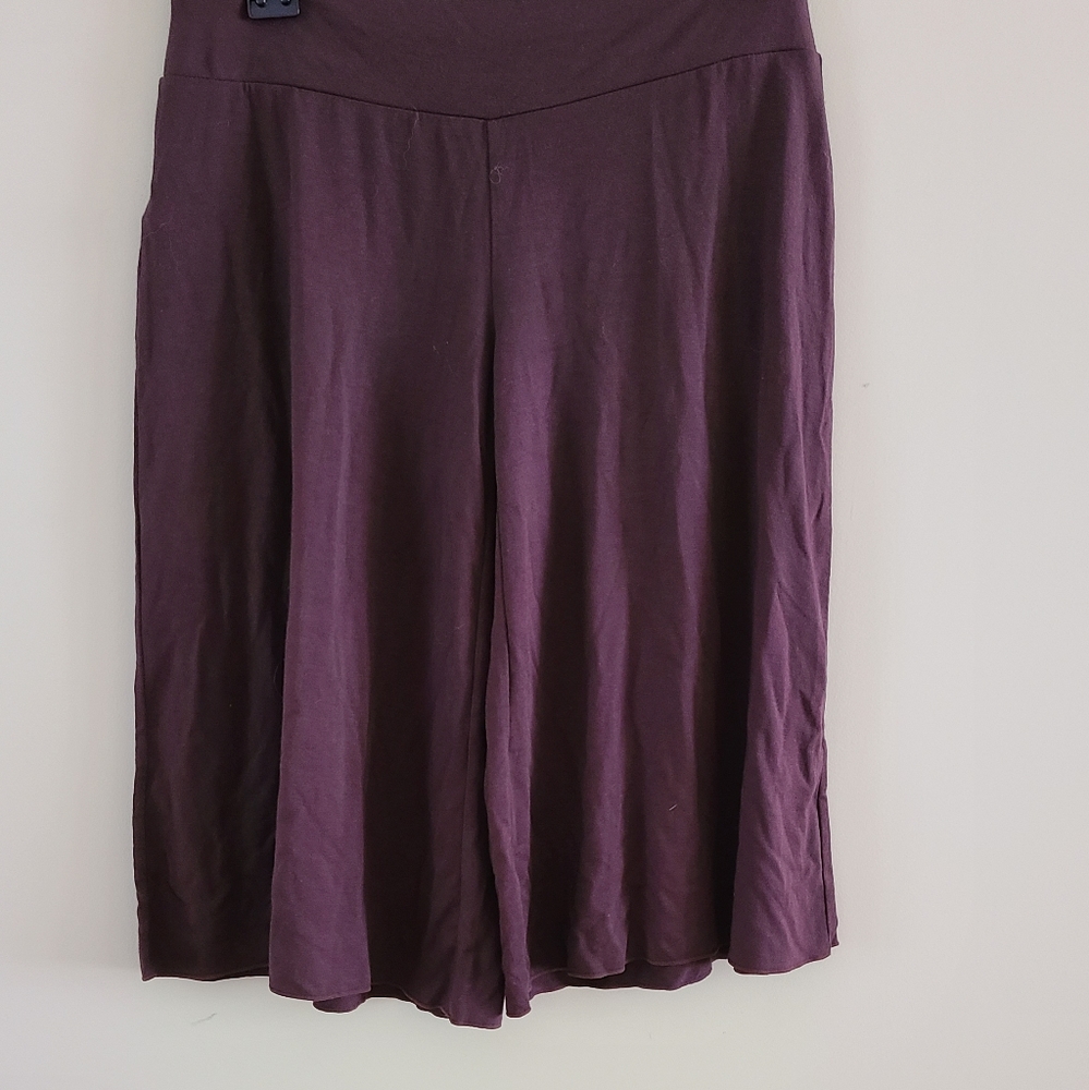 Loft Culottes Pants